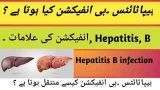 Hepatitis B infection kia hota Hy  Hepatitis B infection ki Aalamaath kia hy  transmission [upl. by Hallie]