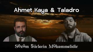 Ahmet Kaya amp Taladro  Sözüm Şiirlerin Mükemmelidir Remix [upl. by Clova]