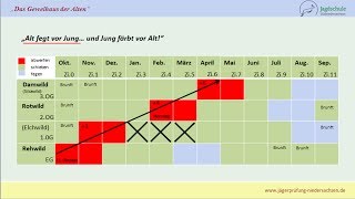 Jägerprüfung Niedersachsen Das Geweihaus der Alten [upl. by Sander]