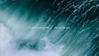 Cieux ouverts  fleuve de vie  Hillsong en français  Instrumental [upl. by Rickie]