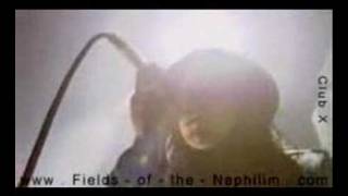 Fields of the Nephilim The Watchman [upl. by Mireille122]