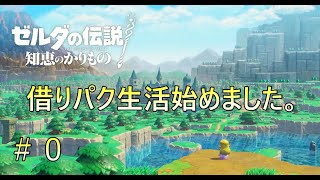 【ゼルダの伝説 知恵のかりもの】リンクに頼りすぎだから姫動きます [upl. by Haldan13]