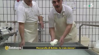 Mozzarella di Bufala  la vraie mozza [upl. by Alit978]