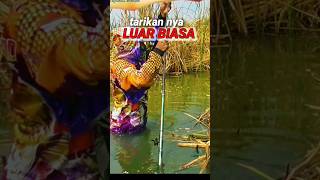 Ikan ke 2 juga tarikan nya dasyat fishing mancingnilla mancing mancingnilaliaranterbaru [upl. by David]