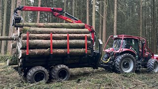 Eigenbau Rückewagen wieder im Volleinsatz I Frage Antwort im Wald [upl. by Idnaj770]