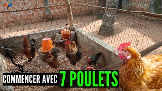 7 POULETS pour OBTENIR 65 poulets goliath en 6 MOIS élevage de poulet en Afrique investissement [upl. by Denie]