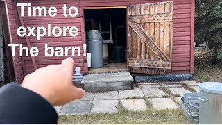 We bought everything on siteLet’s explore the barn Pt 3 [upl. by Liebowitz335]