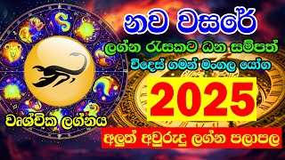 2025 Panchanga  2025 Litha  Wurshchika Lagnaya  2025 Lagna palapala  2025 Horoscope [upl. by Navoj436]