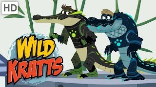 Wild Kratts 🐊 Alligators vs Crocodiles  Kids Videos [upl. by Araiet]