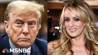 You remind me of my daughter Stormy Daniels reveals more on encounter with Trump [upl. by Rayner420]