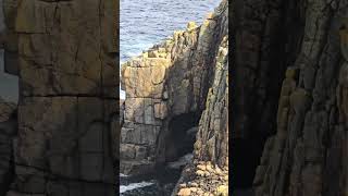 Beautiful view of Kynance Cove  Cornwall must visit 🌊☀️ travel nature Cornwall [upl. by Chuck]