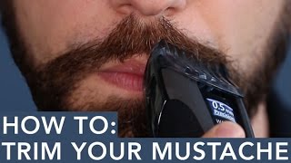 How to Trim Your Mustache [upl. by Aniarrol728]