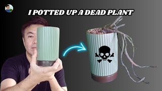 I potted up a DEAD plant in my beautiful planter 🤔 deadplant repotting [upl. by Bruner]