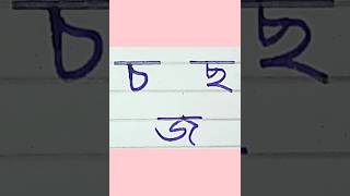 Bengali handwriting practice।। Banjonborno writing ।।Bangla bornomala lekha।।shorts [upl. by Neely764]