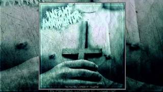 Infant Annihilator  The Palpable Leprosy of Pollution FULL ALBUM 2012 HD [upl. by Burke]