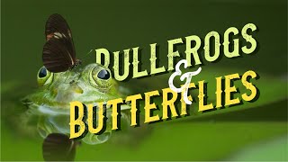 Bullfrogs and Butterflies Video [upl. by Jaqitsch]