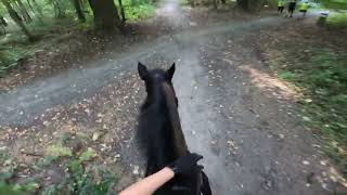 TAKING HUGE HORSE GALLOPING IN THE WOODS  helmet cam [upl. by Asilad]