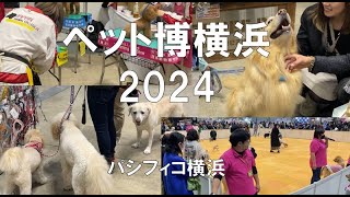 ペット博2024・パシフィコ横浜・展示会営業術 [upl. by Aronek335]