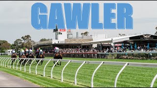 【GAWLER】 AUSTRALIA HORSE RACE ANALYSIS [upl. by Aehtorod]