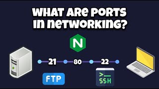 What are ports in networking [upl. by Odelle]