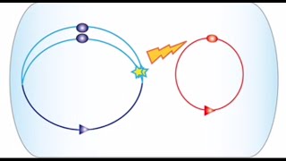 Viral replication checkpoint identified in cholera bacteria [upl. by Jerz600]