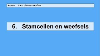 6 Stamcellen en weefsels [upl. by Assedo299]