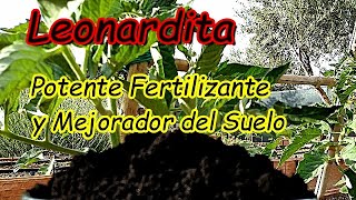 LEONARDITA Fertilizante Orgánico que Mejora la Calidad de los Cultivos [upl. by Glover]