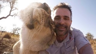 How To Talk To Lions AskMeg  The Lion Whisperer [upl. by Yelreveb]