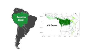 Exploring plant diversity of tropical Africa [upl. by Yenohtna666]