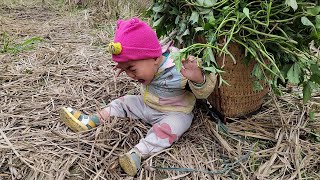 Single mother harvests sweet potatoes with her son [upl. by Onyx]