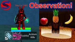 How To Get Observation Haki V2 Blox Fruits [upl. by Ydassac]