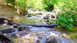 432Hz  Schumanns Resonance Nature Stream  Nature Meditation [upl. by Tracee476]