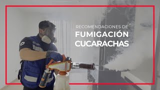 Fumigación de Cucarachas  ✅ Recomendaciones Previas [upl. by Madelle254]