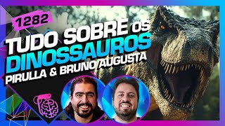 TUDO SOBRE OS DINOSSAUROS PIRULLA E BRUNO AUGUSTA  Inteligência Ltda Podcast 1282 [upl. by Cutlip]