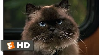 Meet the Fockers 412 Movie CLIP  Jinxy Flushes Moses 2004 HD [upl. by Terriss]