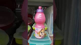 Skye ☆ Paw Patrol Water Bottle [upl. by Heidt]