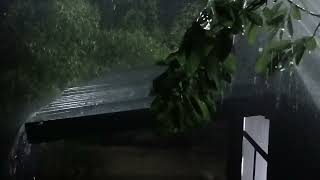 Let the Soothing Rain amp Thunder Help You Relax [upl. by Hniht]