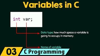 Introduction to Variables [upl. by Allister]