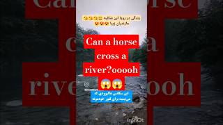 Can a horse cross a riverooooh 😱😱 nature طبیعتگردی shortvideo animals river forest horse [upl. by Rudich47]