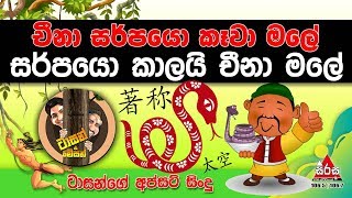 චීනා සර්පයො කෑවා මලේ  සර්පයො කාලයි චීනා මලේ  Lowin Kadellata With Tarzan amp Mazon [upl. by Anelej878]