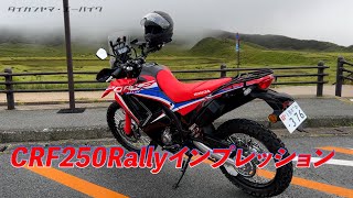 CRF250Rallyインプレッション [upl. by Eserahs]