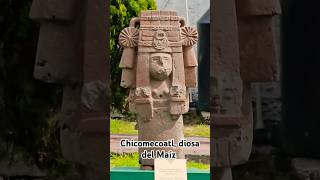 Chicomecoatl diosa del maíz en la Casa de Morelos Ecatepec diadelmaiz [upl. by Nived]