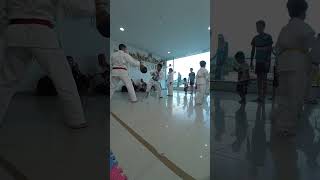 práctica de técnicas de combates de karate karatetradicional karatedojo karateschool [upl. by Yadnil]