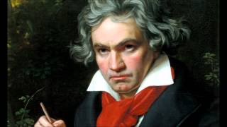 Ludwig Van Beethovens 5th Symphony in C Minor Full [upl. by Enelehcim]