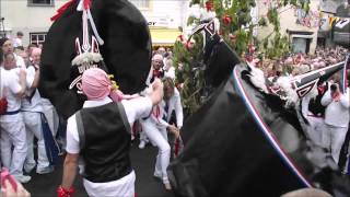 Padstow May Day  The Obby Oss Festival in Padstow 2015 [upl. by Yrannav]