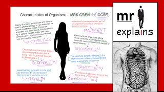 mr i explains Characteristics of Organisms  MRS GREN for IGCSE [upl. by Ringo]