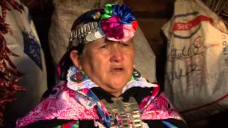 MAPUCHE DUNGUN  La Palabra María Teresa Panchillo  poeta mapuche [upl. by Shaner77]