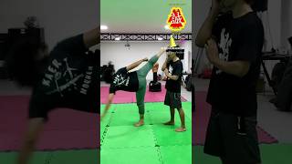 Karate mortal Kicks gojuryukarate karate [upl. by Lezah]