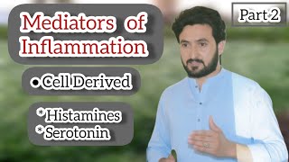 Inflammatory Mediators part 2  Histamines and Serotonin Urdu Hindi lecture [upl. by Ssej]