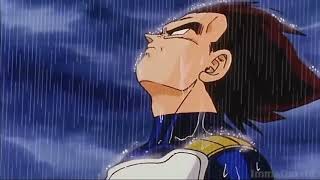 Vegeta in the rain 1HourCalming [upl. by Jago]